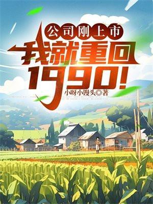 公司刚上市，我就重回1990！